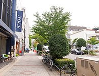 名古屋市中区 都心にありながら緑が近い賃貸マンション