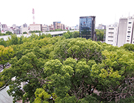 名古屋市中区 都心にありながら緑が近い賃貸マンション
