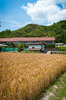 ��������āA�p�����Ă��A���R�Ȋw�т������u�ؑ��Z�Ɂv�i�ʐ^�F�����L�j