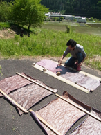 �u�d�������`�v���[�P���񂪓��[�Ŋ`�a��h��Ƃ���i�ʐ^�F�ؑ��ꐬ�j