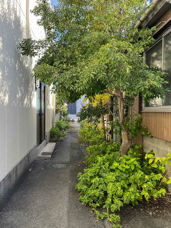 自宅と店の間の路地