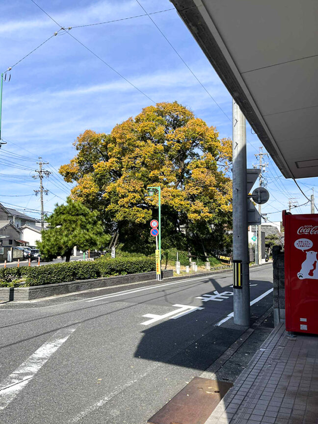 笠寺の店一里塚を望む